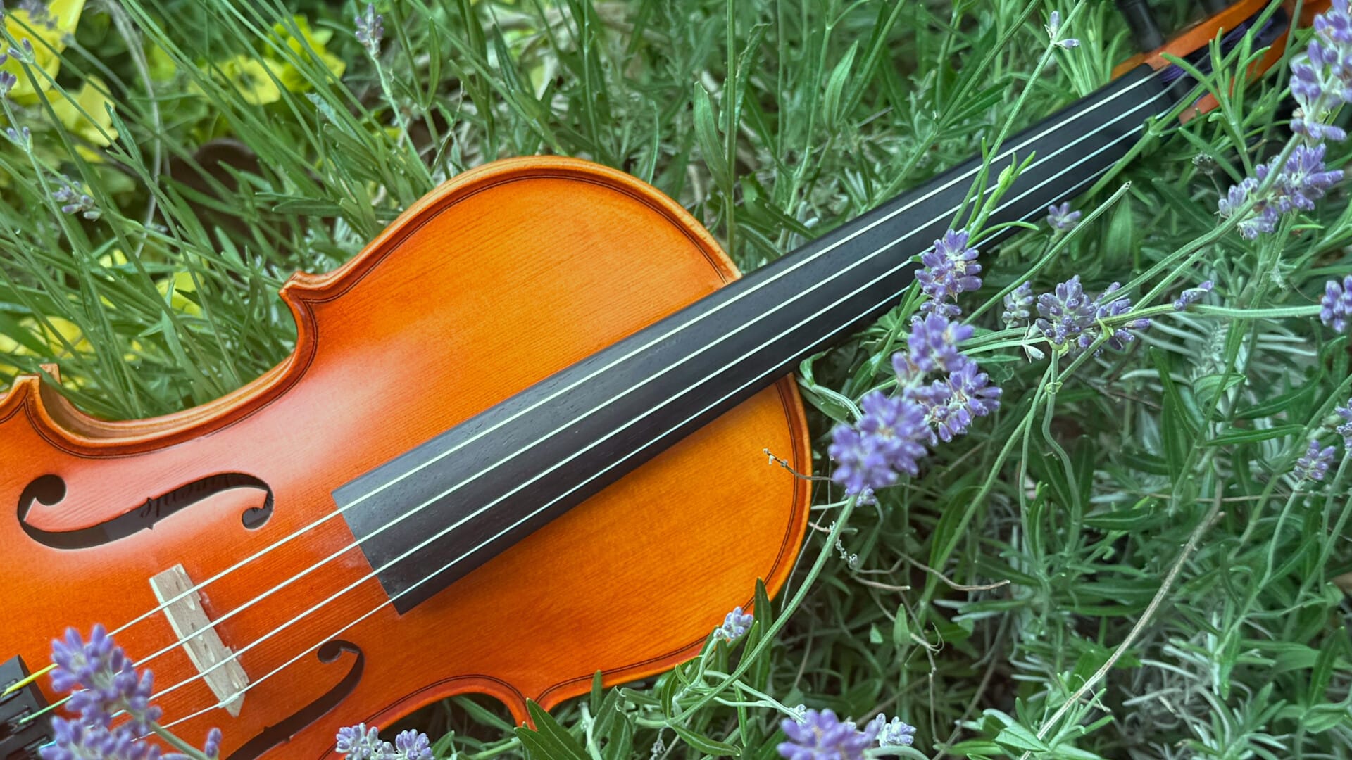 Music for a Summer’s Evening