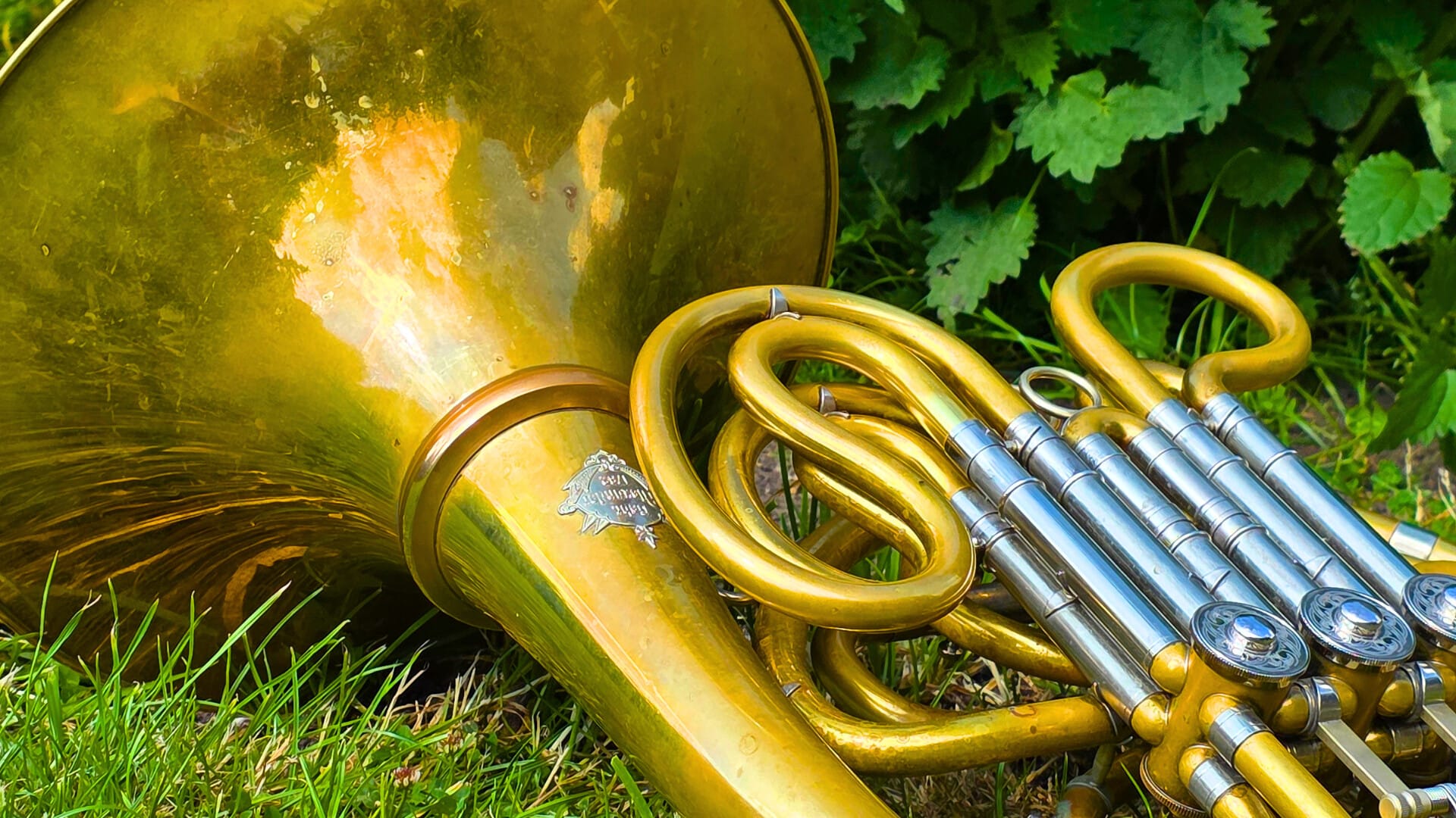 Music for a Summer’s Evening